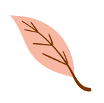 Shape